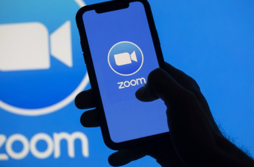 ¿Qué está pasando con Zoom?
