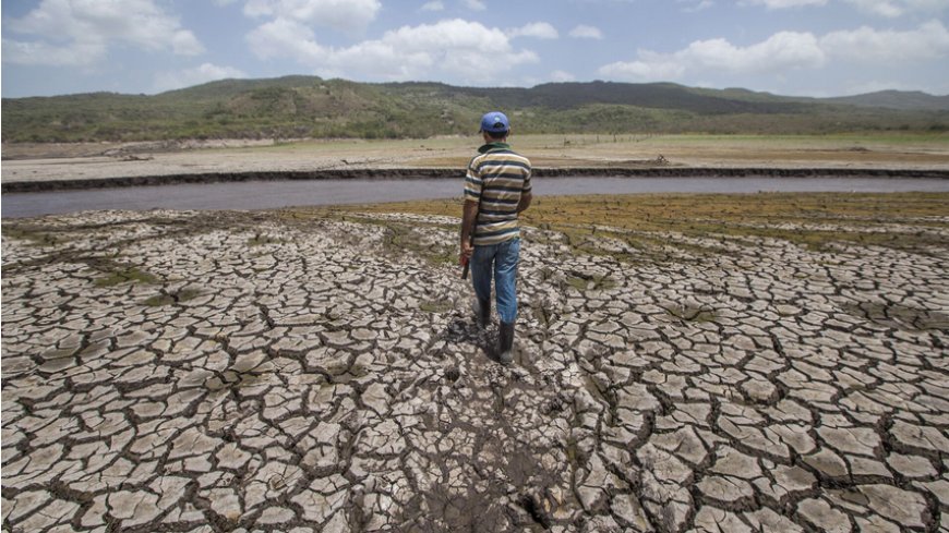 ¿Cuáles son las consecuencias climáticas causadas por el fenómeno de El Niño?