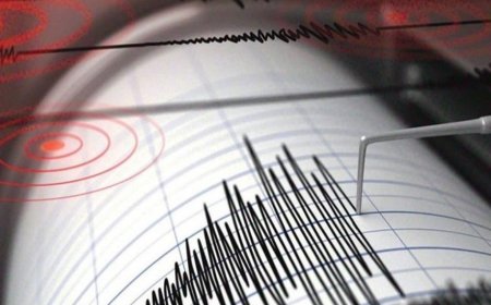 Fuerte Sismo golpea a Hawái