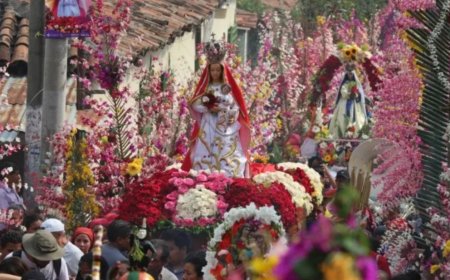 Panchimalco celebra su XLII Festival de Flores y Palmas