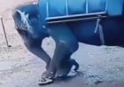 Video: hombre muere pisoteado por elefante en Safari de la India