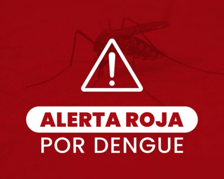 Declaran Alerta Roja por caso de Dengue en El Salvador