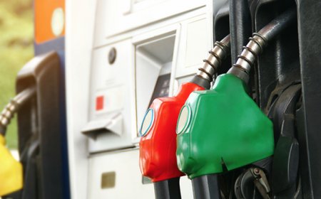 Conoce las nuevas referencias de los precios de la gasolina para esta quincena