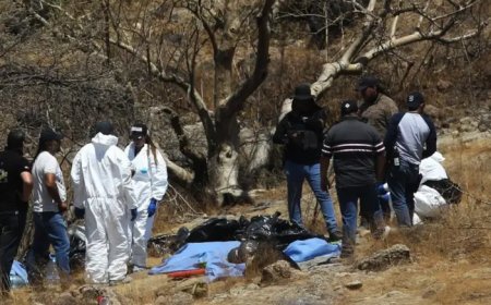 México: Hallan 456 bolsas con restos humanos cerca del estadio mundialista