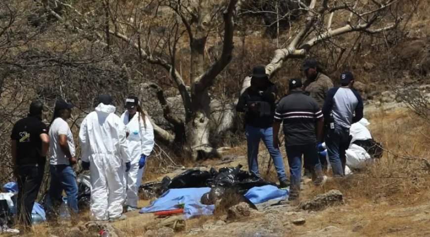 México: Hallan 456 bolsas con restos humanos cerca del estadio mundialista