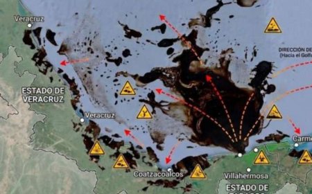 Derrame de petróleo en el Golfo de México: más de 600 kilómetros de costa afectados